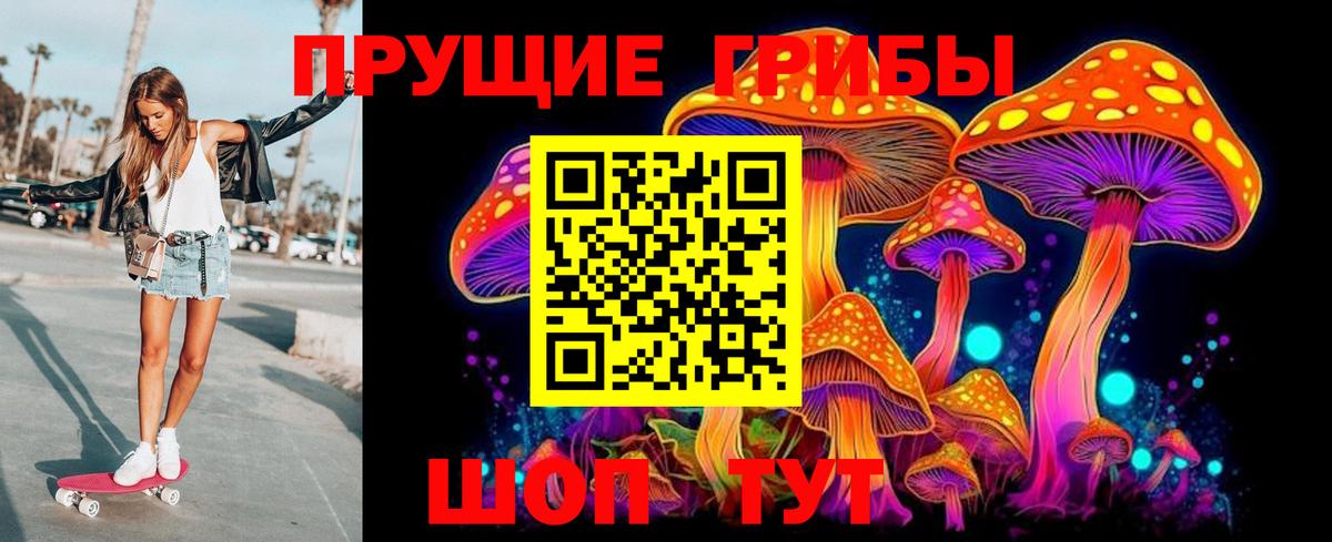 Псилоцибиновые грибы Каспийск